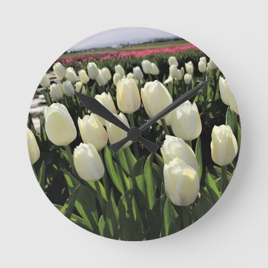 White Tulips in a Field, Oregon Runde Wanduhr (Vorderseite)