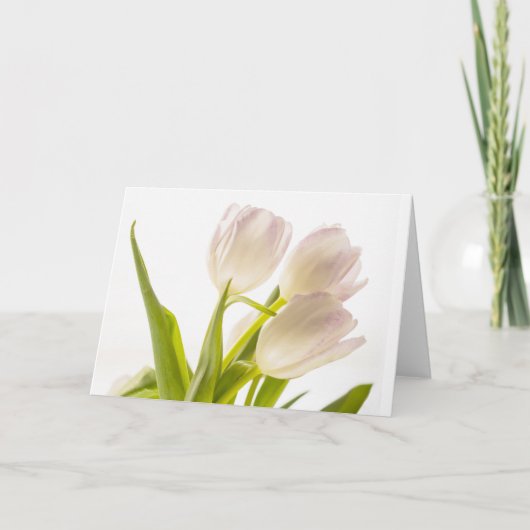 White Tulips-Karte für alle Fälle Karte (Vorderseite)
