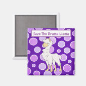 White und Tan Curly Haarblama auf Polka Docks Magnet (Vorderseite/Rückseite)