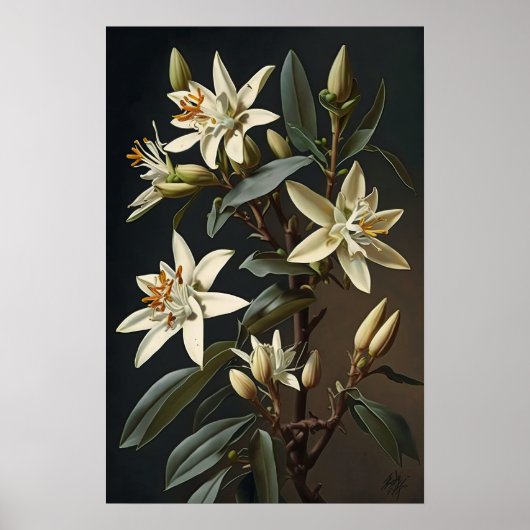 White Vanilla Blume Art Print Poster (Vorne)