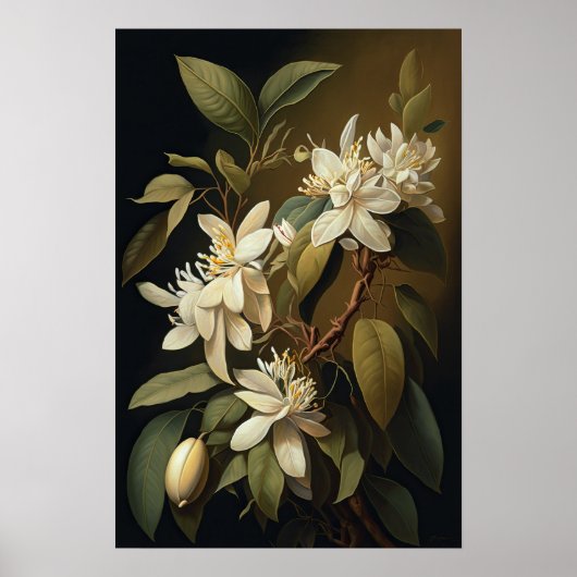 White Vanilla Blume Art Print Poster (Vorne)