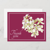 White Veined Orchids Crimson Hintergrund Vielen Da Postkarte (Vorne/Hinten)