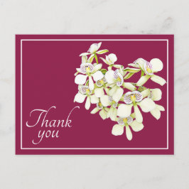 White Veined Orchids Crimson Hintergrund Vielen Da Postkarte