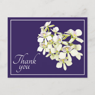 White Veined Orchids Lila Hintergrund Vielen Dank Postkarte