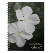 White Vincas Fotografie Personalisiertes Notebook