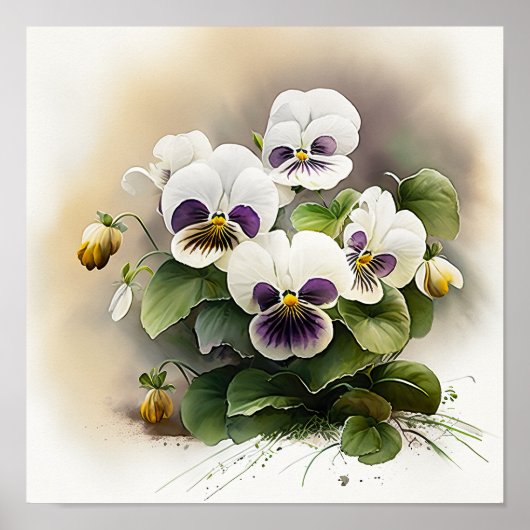 White Violas Blume Art Print Poster (Vorne)