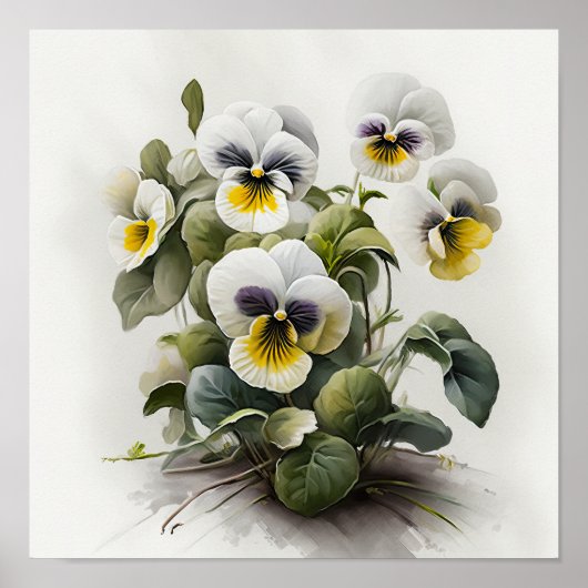 White Violas Blume Art Print Poster (Vorne)