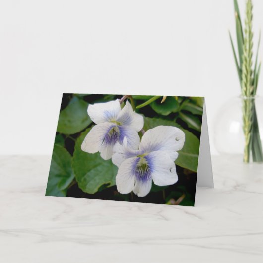 White Violet Pair Note Card Feiertagskarte (Vorderseite)