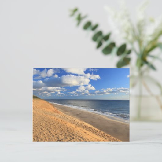 White Wappen Beach Cape Cod Ocean Beach - Überblic Postkarte (Stehend Vorderseite)