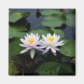 White Water Lilies Magnet (Vorne)