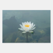 White Water Lily Gift Wrap – Tranquil Floral Desig Geschenkpapier Set (Vorderseite 3)