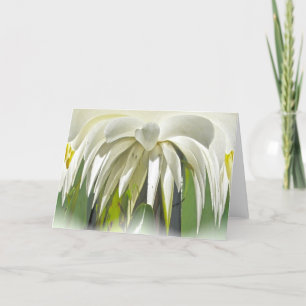 White Water Lily Note Card Karte