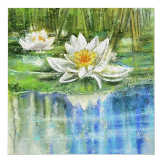 White Water Lily Nymphaea Alba Poster (Vorderseite)
