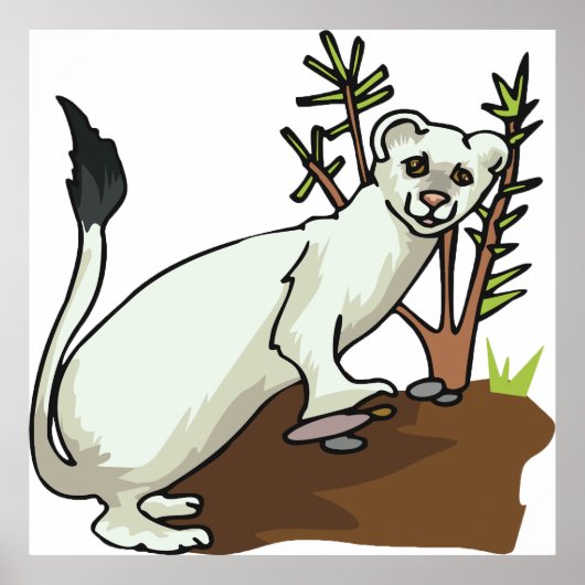 White Weasel Wildlife Poster (Vorne)