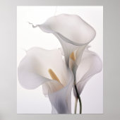 White Wedding Calla Lily White Background Poster (Vorne)