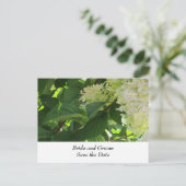 White Wedding Hydrangeas Ankündigungspostkarte (Stehend Vorderseite)