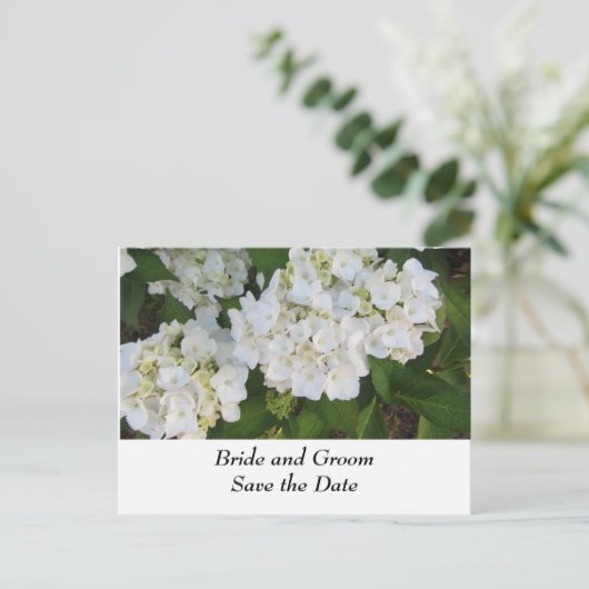 White Wedding Hydrangeas Ankündigungspostkarte (Stehend Vorderseite)