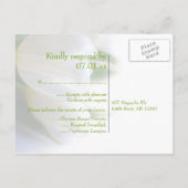 White Wedding RSVP Postcard Einladungspostkarte (Rückseite)