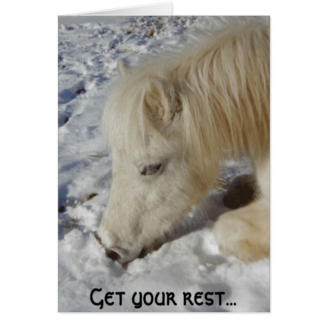 White Welsh Pony Asleep (Vorne)