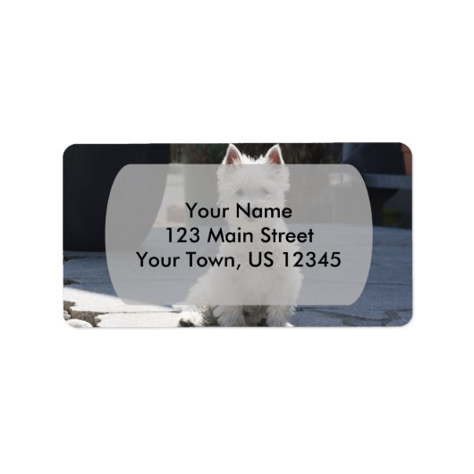 White West Highland Terrier auf Sidewalk Adressaufkleber (Vorne)