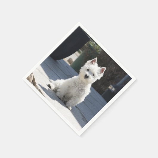 White West Highland Terrier auf Sidewalk Serviette (Ecke)
