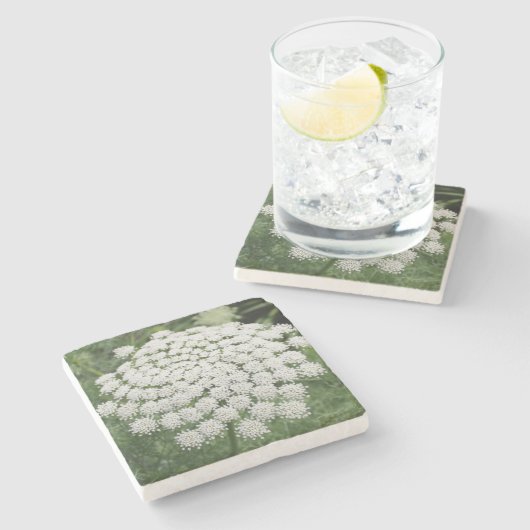 White Wild Blume Queen Anne's Lace Steinuntersetzer (Seitenansicht)