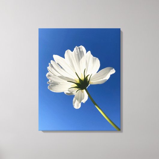 White Wild Flower Canvas Art Leinwanddruck (Vorderseite)