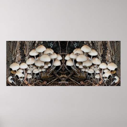 White Wild Mushroom Cluster Mirror Abstrakt Poster (Vorne)