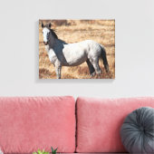 White Wild Mustang Horse Canvas Print Leinwanddruck (Insitu (Wohnzimmer))
