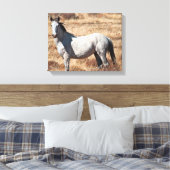 White Wild Mustang Horse Canvas Print Leinwanddruck (Insitu (Schlafzimmer))
