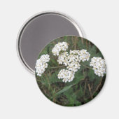 White Wildblumen Magnet (Vorderseite/Rückseite)