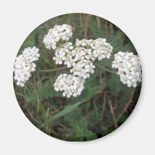 White Wildblumen Magnet (Vorne)
