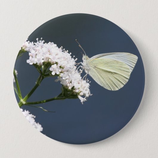 White Winged Wonder Butterfly Button (Vorderseite)