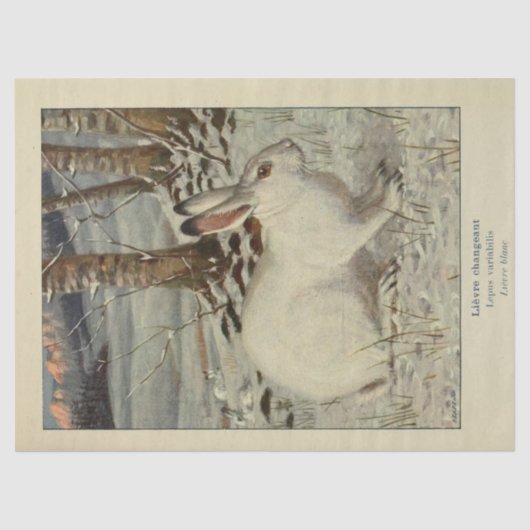White Winter Rabbit Ephemera Decoupage Seidenpapier (Vorderseite)