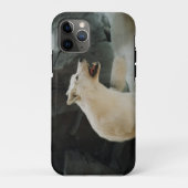 White Wolf Case-Mate iPhone Hülle (Rückseite)