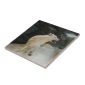 White Wolf Fliese (Seite)
