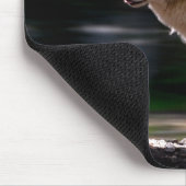 White Wolf Individuelle Name Wildlife Lover Mousepad (Ecke)