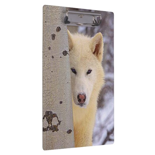 White Wolf Klemmbrett (Rechts)