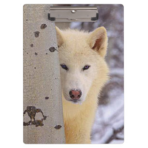 White Wolf Klemmbrett