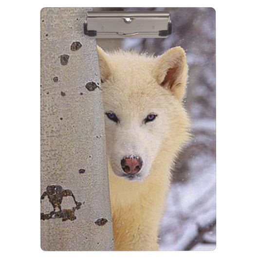 White Wolf Klemmbrett (Vorderseite)