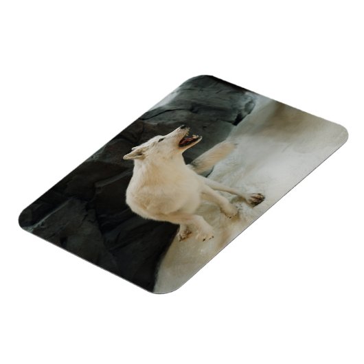 White Wolf Magnet (Linke Seite)