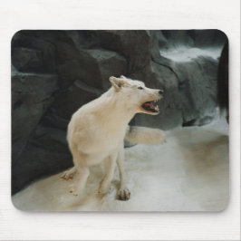 White Wolf Mousepad