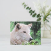 White Wolf Nah Up Profil Postkarte (Stehend Vorderseite)
