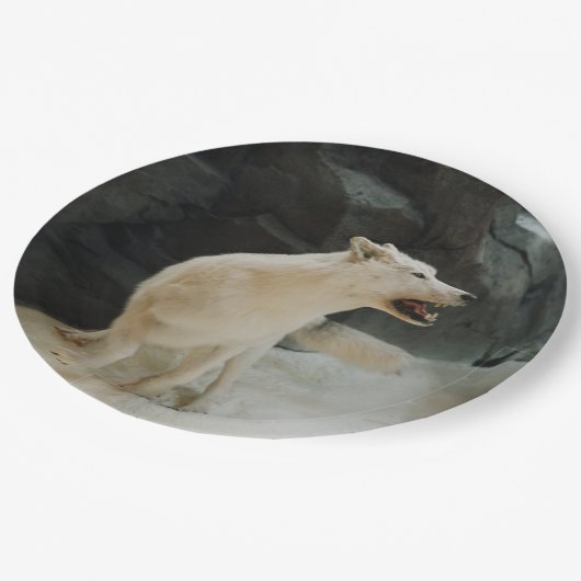 White Wolf Pappteller (Schrägansicht)