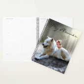 White Wolf Planer (Anzeige)