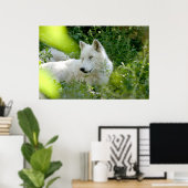 White Wolf Poster (Heimbüro)