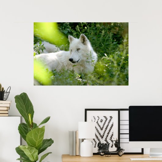 White Wolf Poster (Heimbüro)