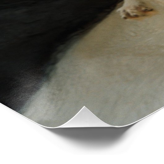 White Wolf Poster (Ecke)