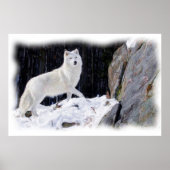 WHITE WOLF POSTER (Vorne)