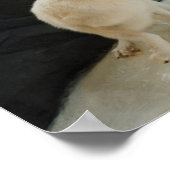 White Wolf Poster (Ecke)